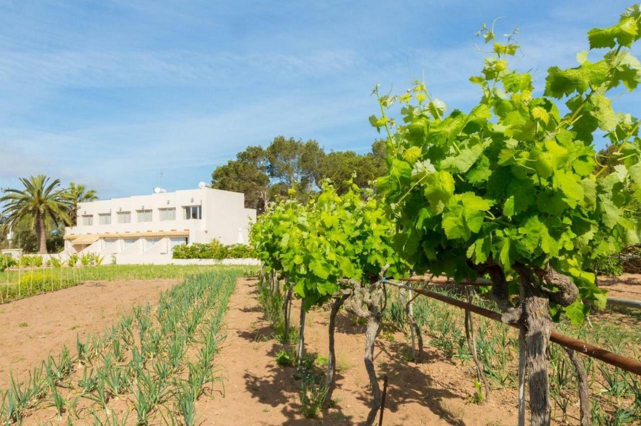 Apartamentos Marcelino - Formentera Break Es Pujols Luaran gambar